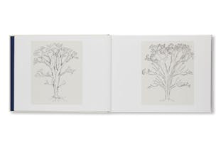 THE BEGINNING OF TREES AND THE END: DRAWINGS AND NOTEBOOKS